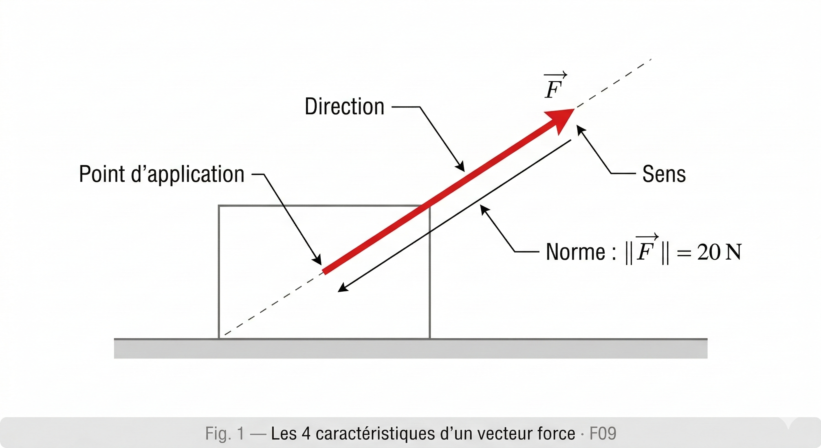 Vecteur force avec ses 4 caractéristiques légendées