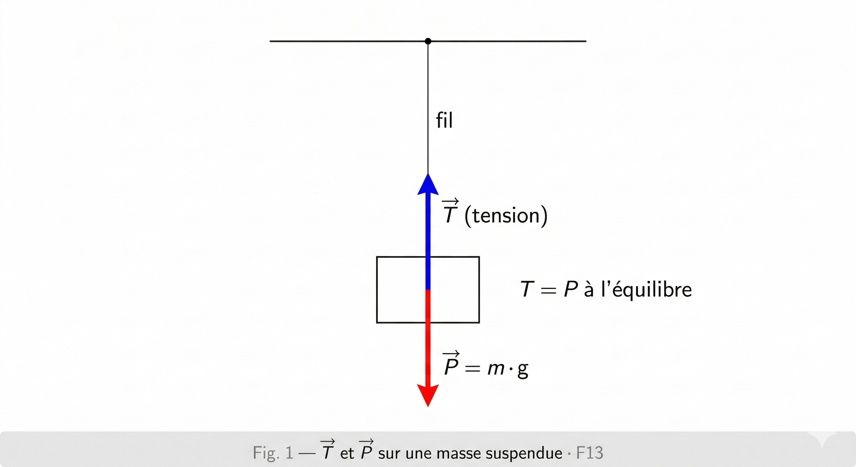 Masse suspendue avec tension T et poids P