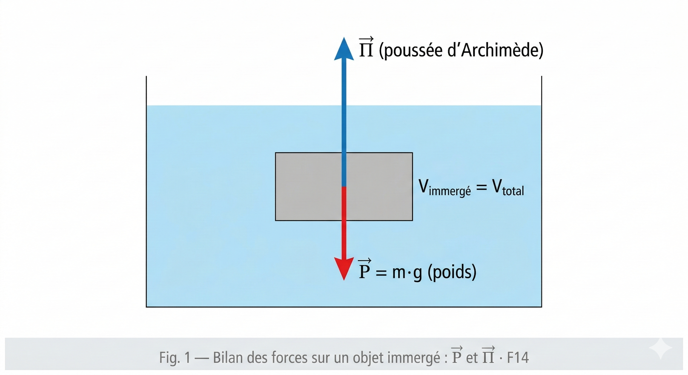Objet immergé avec P→ vers le bas et Π→ vers le haut