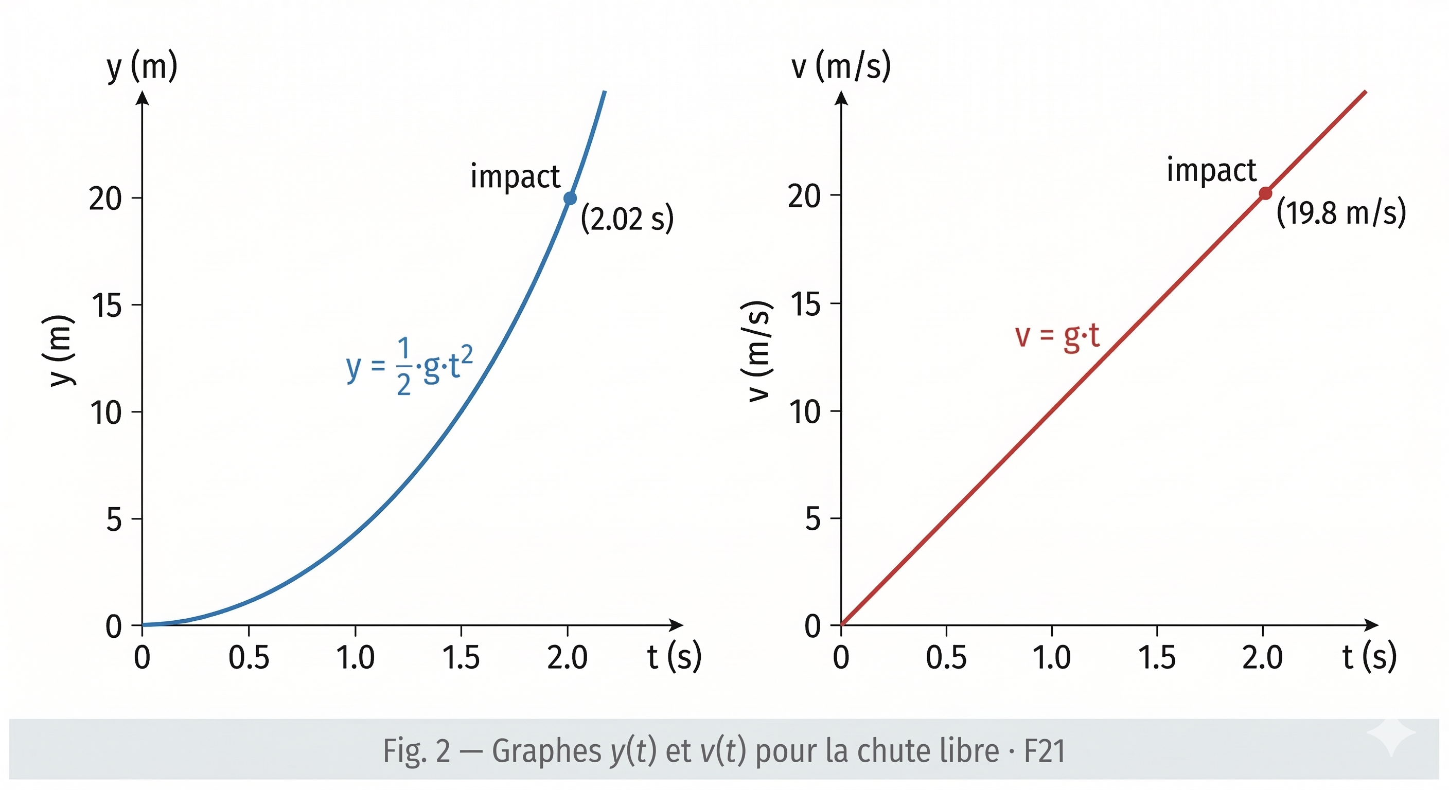 Graphes y(t) parabole et v(t) droite pour la chute libre